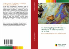 Contaminação por Petróleo no Município de São Sebastião-SP, Brasil - Nisoli Pereira da Silva, Antonio Carlos;Rei, Fernando