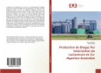 Production de Biogaz Par Valorisation du Lactosérum en Co-digestion Anaérobie