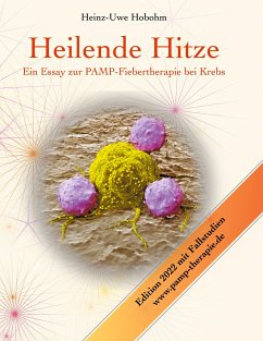 Heilende Hitze - Hobohm, Heinz-Uwe