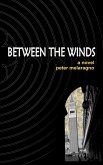 Between the Winds (eBook, ePUB)