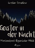 Geister in der Nacht. Nationalpark Bayerischer Wald (eBook, ePUB)