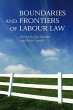Boundaries and Frontiers of Labour Law... - Bild 1