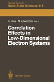 Correlation Effects in Low-Dimensional Electron Systems (eBook, PDF)