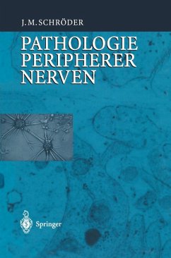 Pathologie des Nervensystems VIII (eBook, PDF) - Schröder, J. M.