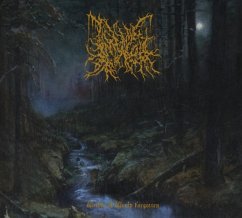 Within A World Forgotten - Infernal Coil Within A World Forgotten - Infernal Coil