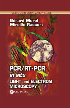 Cover PCR/RT- PCR in situ (eBook, PDF)