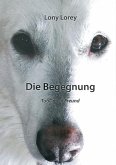 Die Begegnung