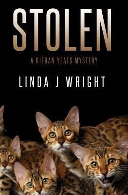 Stolen (eBook, ePUB)
