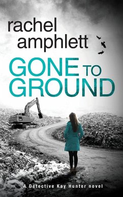 Gone to Ground - Amphlett, Rachel