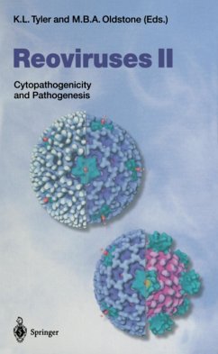 Cover Reoviruses II (eBook, PDF)