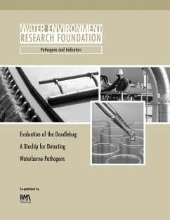Cover Evaluation of the Doodlebug (eBook, PDF)