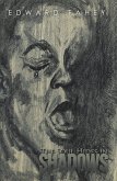 The Soul Hides in Shadows (eBook, ePUB)