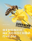 The Buzz about Bees: Biology of a Superorganism (eBook, ePUB)