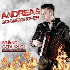 Brandgefährlich - Schweighofer,Andreas