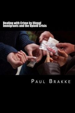 Dealing with Crime by Illegal Immigrants and the Opioid Crisis (eBook, ePUB) - Brakke, Paul