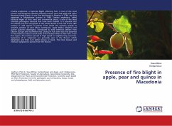 Presence of fire blight in apple, pear and quince in Macedonia - Mitrev, Sasa;Arsov, Emilija