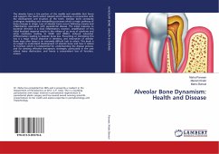 Alveolar Bone Dynamism: Health and Disease