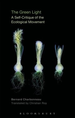 Cover The Green Light (eBook, ePUB)