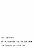Mit Crazy Horse im Schnee (eBook, ePUB)