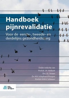 Handboek Pijnrevalidatie