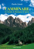 Camminare. La strada, la montagna, lo spirito Camminare. La strada, la montagna, lo spirito