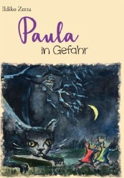 Cover Paula in Gefahr