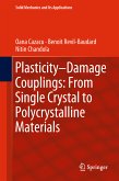 Plasticity-Damage Couplings: From Single Crystal to Polycrystalline Materials (eBook, PDF)