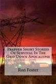 Prepper Short Stories Of Survival In The Grid Down Apocalypse (eBook, ePUB)