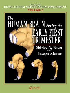 The Human Brain During the Early First Trimester (eBook, PDF) - Bayer, Shirley A.; Altman, Joseph