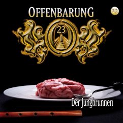 Der Jungbrunnen / Offenbarung 23 Bd.23 (MP3-Download) - Gaspard, Jan