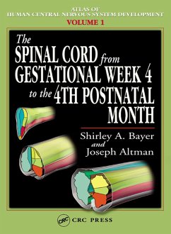 The Spinal Cord from Gestational Week 4 to the 4th Postnatal Month (eBook, PDF) - Bayer, Shirley A.; Altman, Joseph