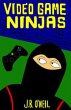 Video Game Ninjas (eBook, ePUB) - Bild 1
