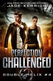 Perfection Challenged (eBook, ePUB) Perfection Challenged (eBook, ePUB)