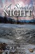 A Single Night (eBook, ePUB) - Bild 1