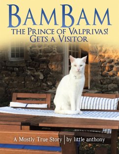 Bambam the Prince of Valprivas! Gets a Visitor (eBook, ePUB) - Anthony, Little