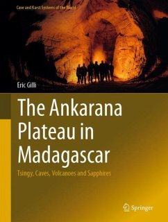 The Ankarana Plateau in Madagascar - Gilli, Eric