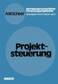 Projektsteuerung (eBook, PDF)