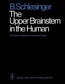 The Upper Brainstem in the Human (eBook, PDF)