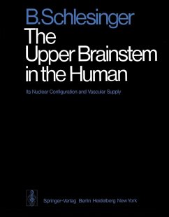 Cover The Upper Brainstem in the Human (eBook, PDF)