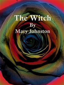 The Witch (eBook, ePUB) - Johnston, Mary