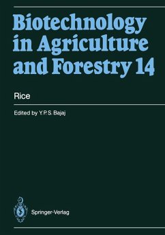 Rice (eBook, PDF) - Bajaj, Y. P. S.