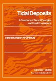 Tidal Deposits (eBook, PDF)