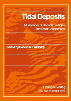 Tidal Deposits (eBook, PDF)