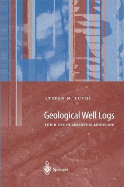 Geological Well Logs (eBook, PDF) - Luthi, S.