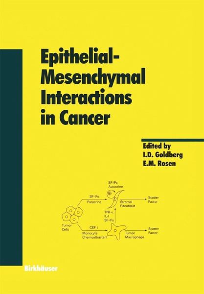 Epithelial-Mesenchymal Interactions in Cancer (eBook, PDF) Epithelial-Mesenchymal Interactions in Cancer (eBook, PDF)