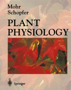 Plant Physiology (eBook, PDF)