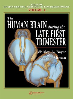 The Human Brain During the Late First Trimester (eBook, PDF) - Bayer, Shirley A.; Altman, Joseph