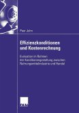 Effizienzkonditionen und Kostenrechnung (eBook, PDF)