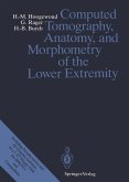 Computed Tomography, Anatomy, and Morphometry of the Lower Extremity (eBook, PDF)