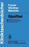 Gipsfibel (eBook, PDF)